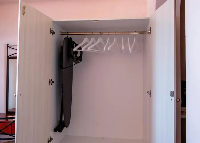 Dafnis 쿠포니시아